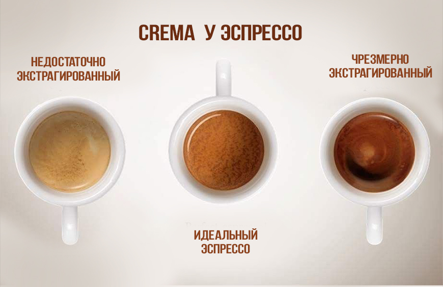 Крема кофе